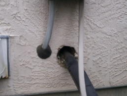 Wildlife Entry Near Air Conditioning Lines