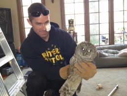 Dayton Wildlife Technician Holding Barn Owl