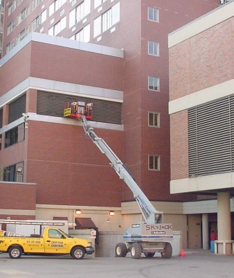 Dayton wildlife removal